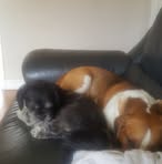 Baxter Armstrong - Facebook