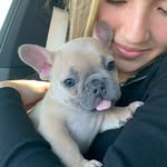 Stanley Baxter Armstrong - @stanleybaxstrong - Instagram