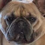 Baxter & Barrett - @baxter_and_barrett - Instagram