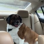 baxter - @baxterbarrett_ - Instagram