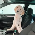baxter bell - @prettyboy.baxter - Instagram