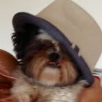 Baxter Bell - Facebook