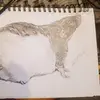 Baxter Benson Mumma - @baxter.benson.mum - TikTok