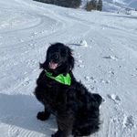 Baxter Black - @baxterblackm - Instagram