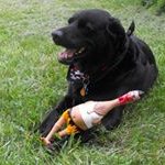 Baxter Black - @mfell420 - Instagram