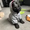 Baxter the black cocker 🐶 - @baxtertheblackcocker - TikTok