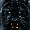 Black_Baxtar - @black_baxter - TikTok