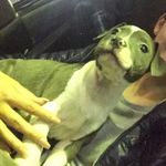 Baxter Butler - @baxter_offical1 - Instagram