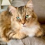 Baxter Butler - @baxter_butler - Instagram