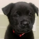Baxter Caldwell - @baxter.caldwell - Instagram