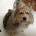 Baxter Clark - Facebook