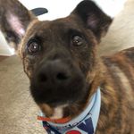 Baxter Clark - @baxter_clark - Instagram