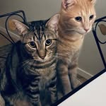 @crawford_and_baxter - Instagram