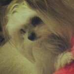 Baxter Davis - @baxter_poola - Instagram