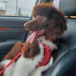 Baxter Davis - @ambassador_baxter - Instagram