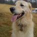 Baxter Davis - Facebook