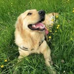 Baxter Davis - @baxter_davis_2018 - Instagram