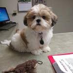 Baxter Davis - @baxterr.davis - Instagram