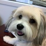 Baxter Davis - @hot_edna_ - Instagram