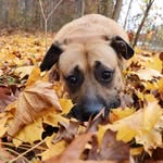 Davis Baxter - @davis_baxter - Instagram