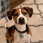 I’m Baxter Marley Davis - @baxter.marley.davis - Instagram