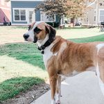 Baxter Evans - @baxonthebeat - Instagram