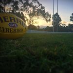 Baxter Evans - @bte24_photography - Instagram