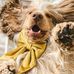 Baxter Evans - Facebook