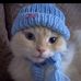 Kate Gormley Panda Baker - Facebook