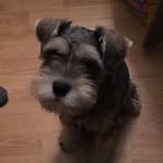 Baxter Gray - @baxter_gray - Instagram