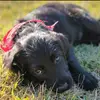 Baxter - @baxtergreene25 - TikTok