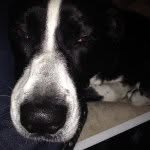 Baxter Green - @baxtergreen - Instagram