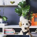 Baxter Green - @beachboybaxter - Instagram