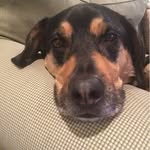 Baxter Green - @baxtergreen622 - Instagram