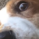 Baxter Green Goodenough - @baxter.v2 - Instagram