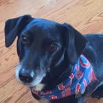Baxter Harrington - @baxter_boo23 - Instagram