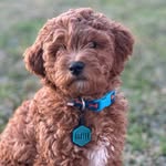 Baxter Cooper Harris - @baxter_thoughts - Instagram