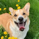 Baxter Freeman Schneck-Harris - @baxter.freeman - Instagram