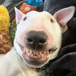 @baxter_harris_ - Instagram