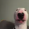 baxterharris2409 - @baxterharris2409 - TikTok