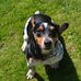 Baxter Hayes - Facebook