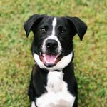 baxter hayes - @baxcrawford - Instagram