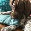 harry baxter hayes - @harry_bhayes - TikTok