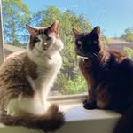 Baxter Hill - @bax_n_luci_official_ - Instagram