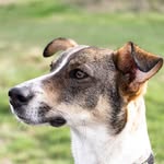 Baxter Hill - @baxterbonio - Instagram