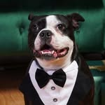 Baxter Hill - @baxter_onthego - Instagram