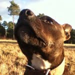 Baxter Hill - @baxterhill10 - Instagram