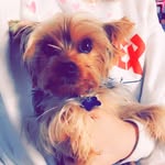 Baxter Hill - @baxter_hill_101 - Instagram