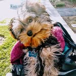 Baxter Hill - @mrbaxterhill - Instagram