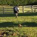 Baxter Hill - Facebook
